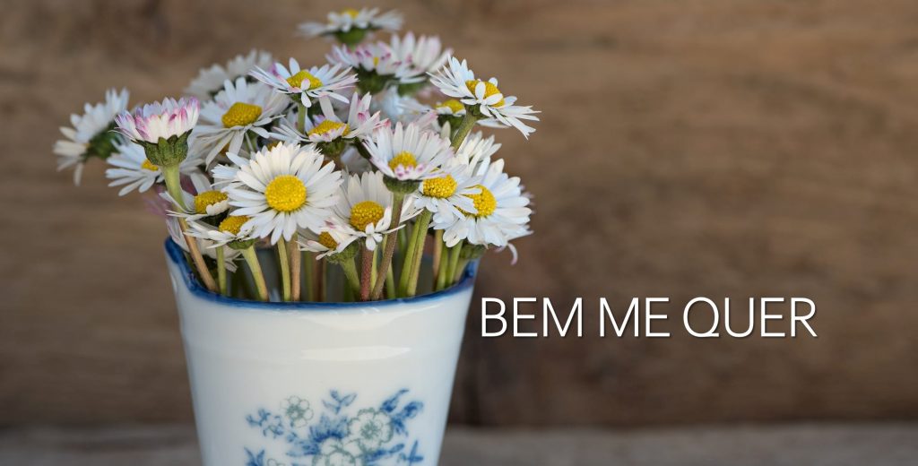 BEM-ME-QUER-IMG3-1024x520.jpg